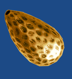 bd263b_468337560