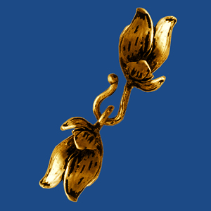 cl264b_1581476639