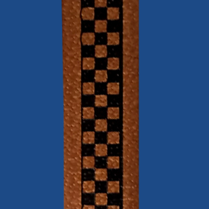 FCS10BN