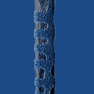 FCUN5BU