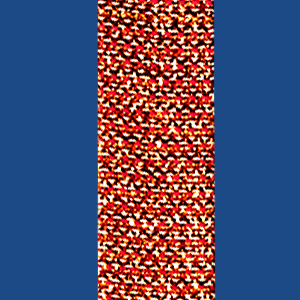 FIF10SU