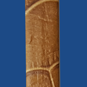 FNI10LBN
