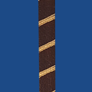 FSTGDBN