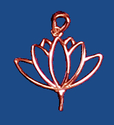 pn67lcu