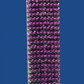 FIF10MG