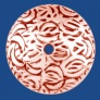 ca282cu