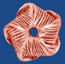 ca286cu