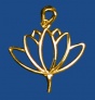 pn67b