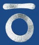 tl333